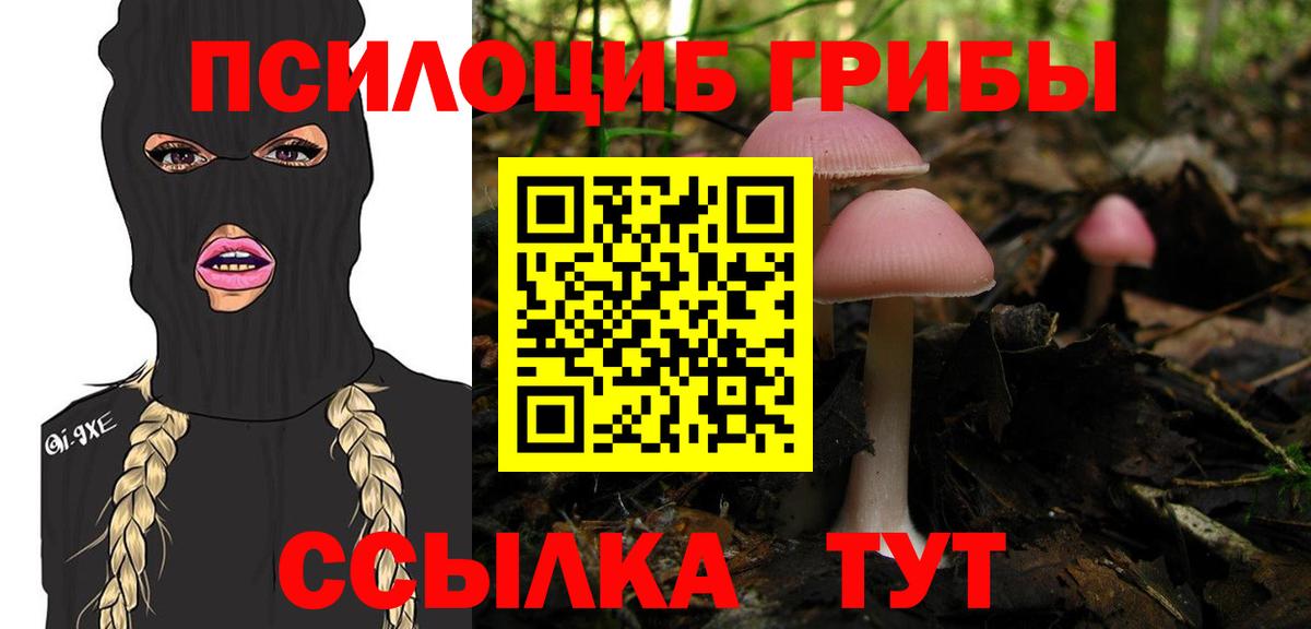 Арсеньев  Псилоцибиновые грибы Magic Shrooms  Вход с VPN  Псилоцибиновые грибы GOLDEN TEACHER 