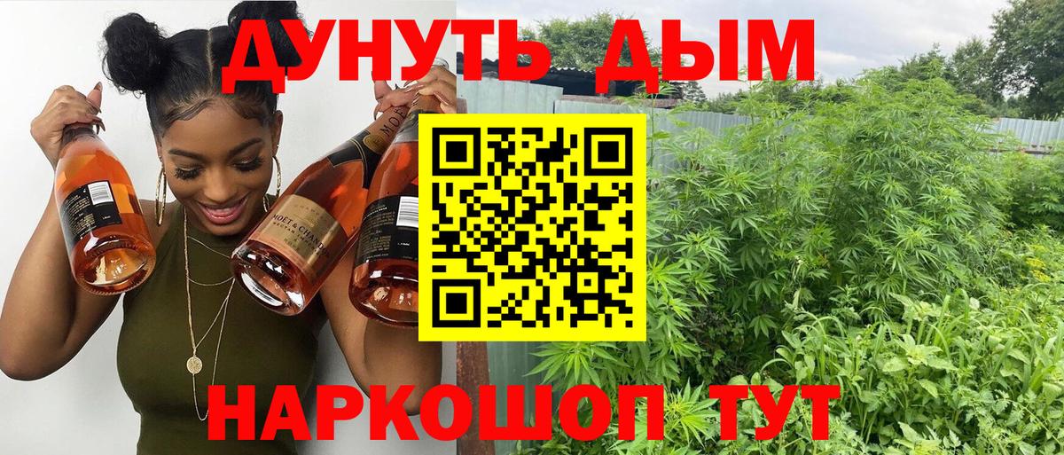 Канабис OG Kush Арсеньев